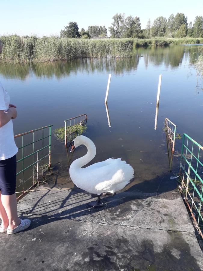 U Wikinga Hotel Zastan Esterno foto